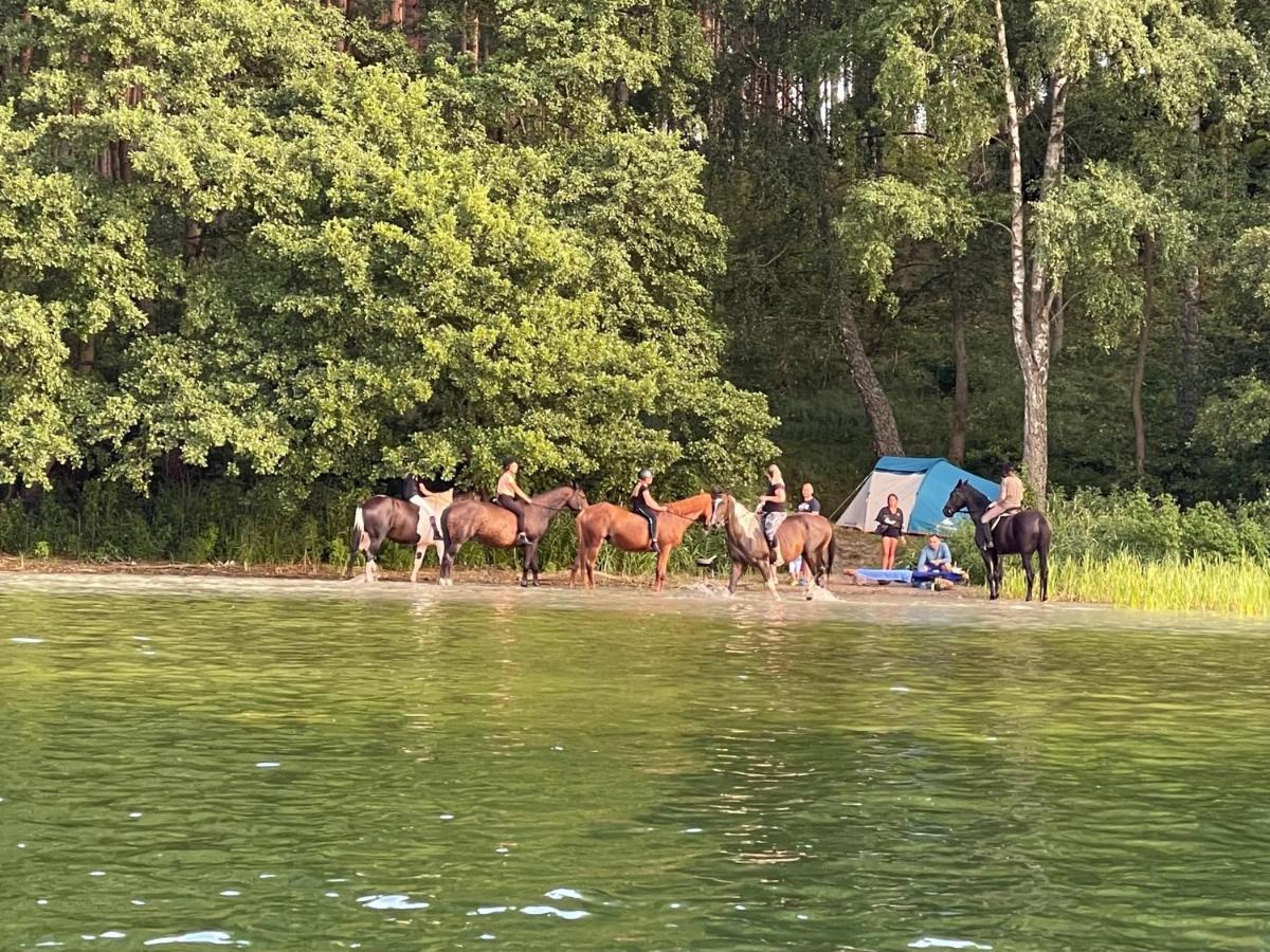 Schadzka W Dwunastce Z Widokiem Na Jezioro Borsk Exterior foto